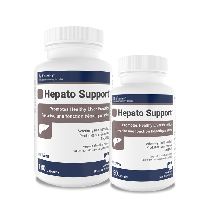 Hepato Support™ Capsules