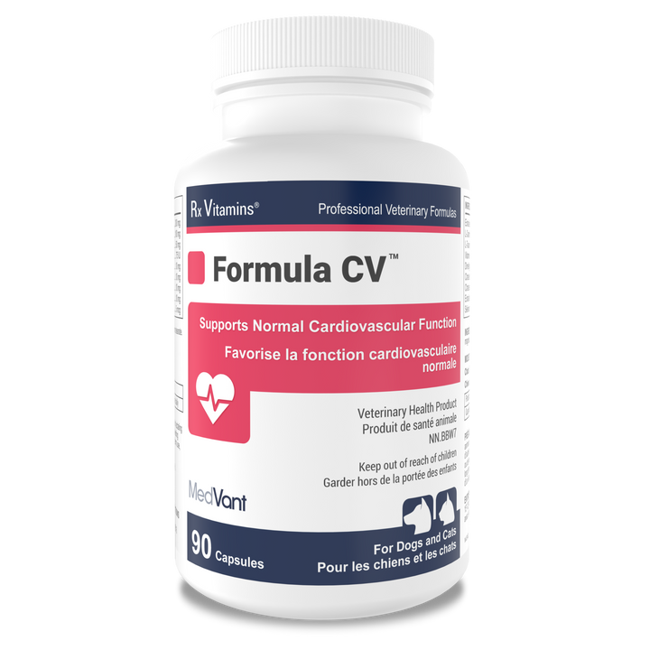 Formula CV™