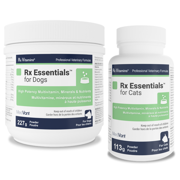 Everyday Essentials