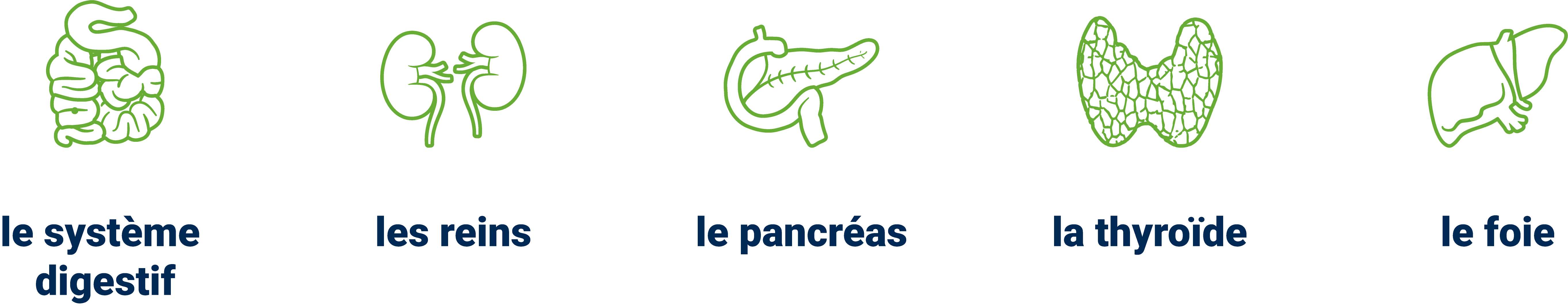 Plus besoin d'aiguilles !