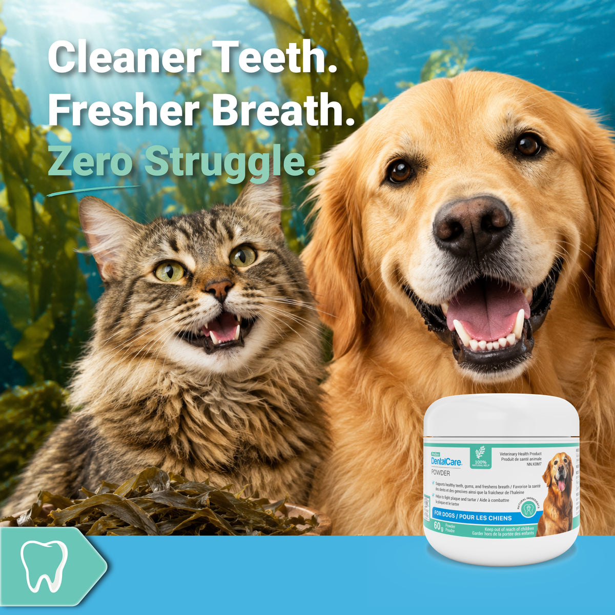 ProDen DentalCare®