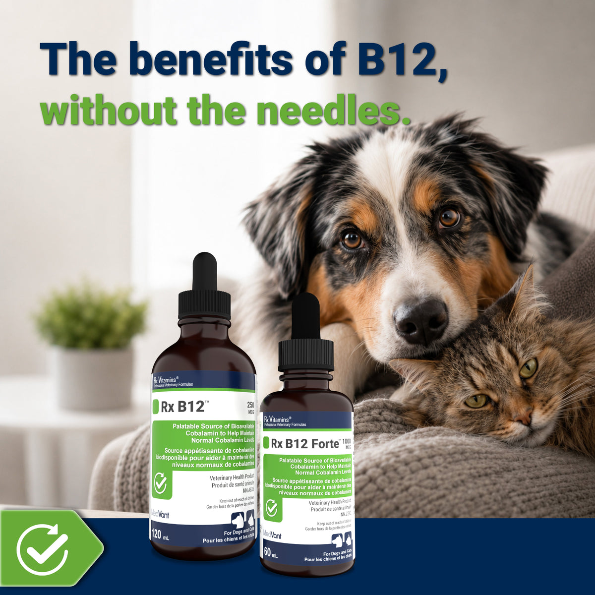 Rx B12