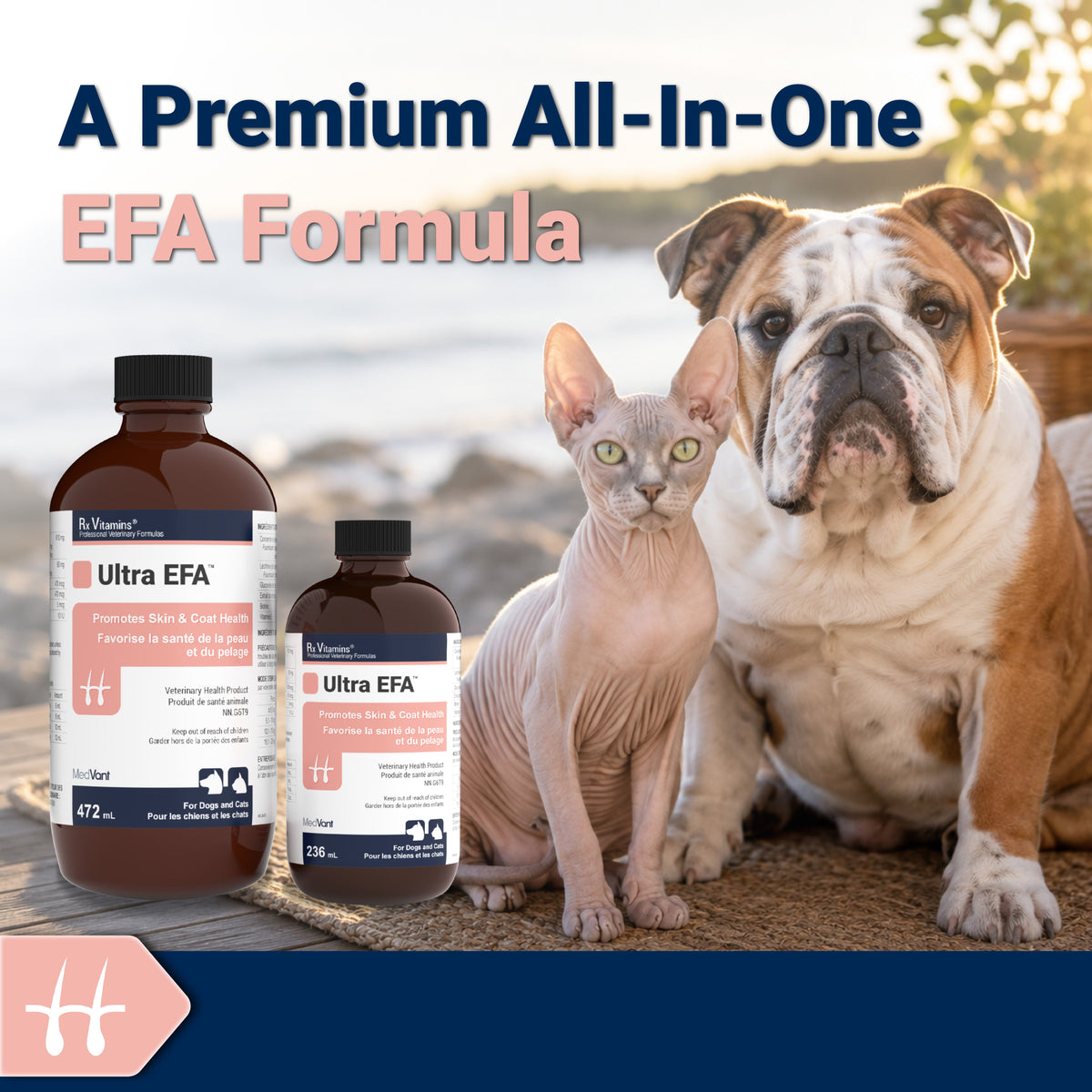 Ultra EFA