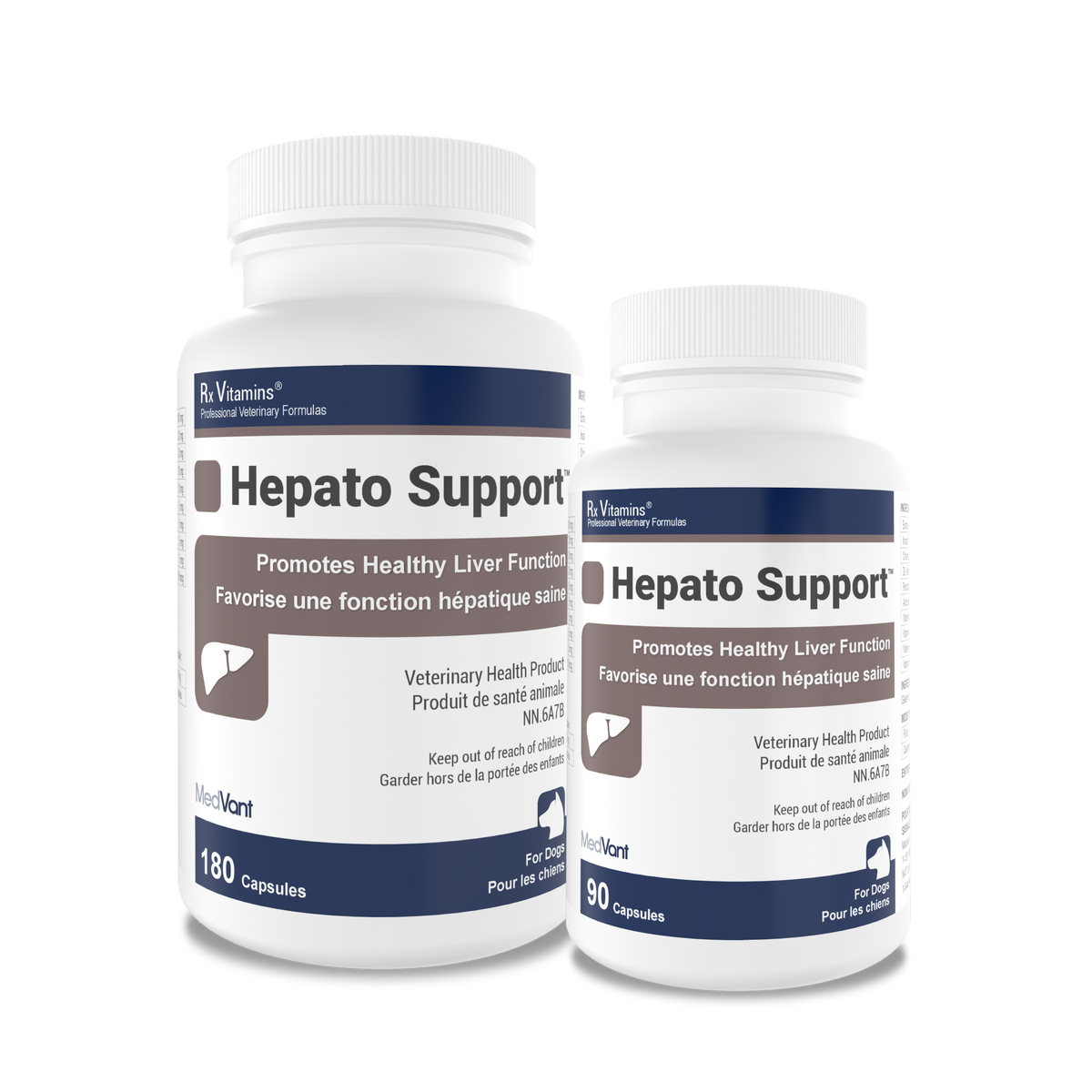 Hepato Support™ Capsules