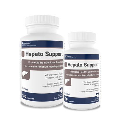 Hepato Support™ Capsules