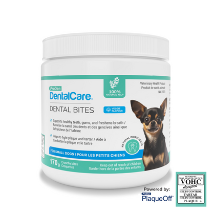 ProDen DentalCare® Dental Bites