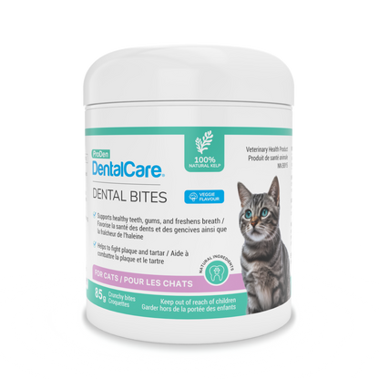 ProDen DentalCare® Dental Bites