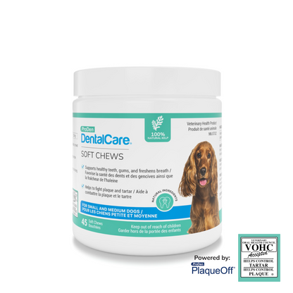 ProDen DentalCare® Soft Chews