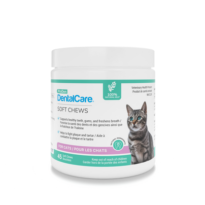ProDen DentalCare® Soft Chews