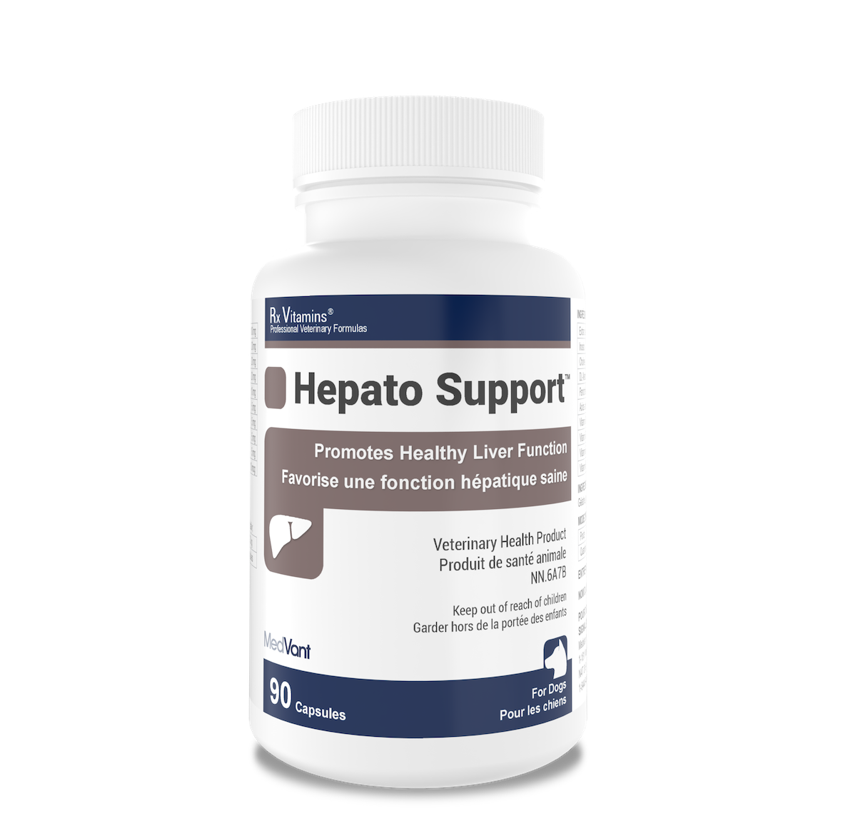 Hepato Support™ Capsules