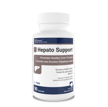 Hepato Support™ Capsules