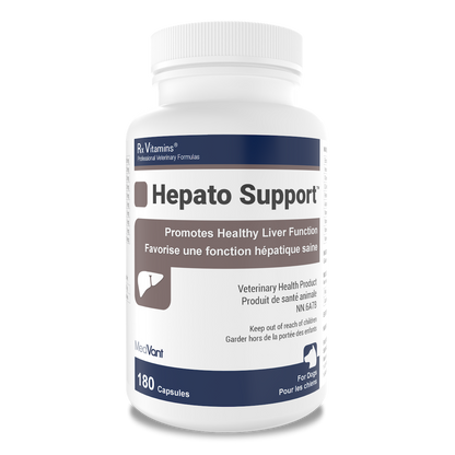 Hepato Support™ Capsules