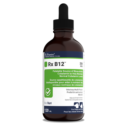 Rx B12™