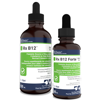 Rx B12™