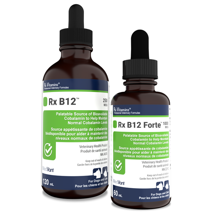 Rx B12™