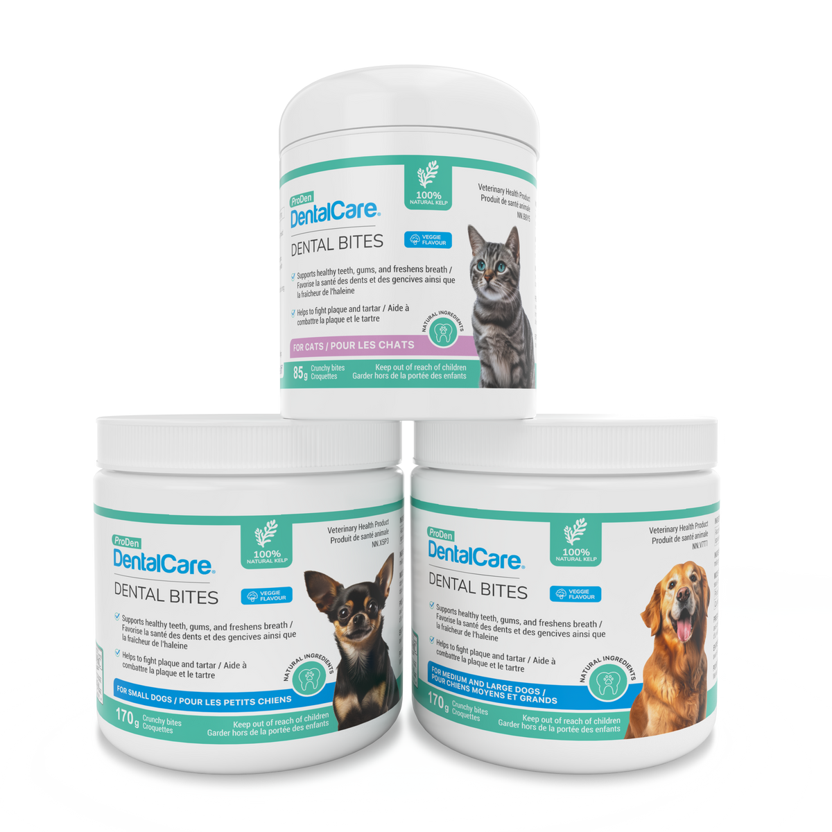 ProDen DentalCare® Dental Bites
