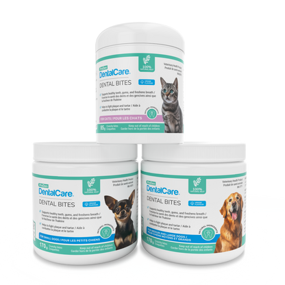 ProDen DentalCare® Dental Bites