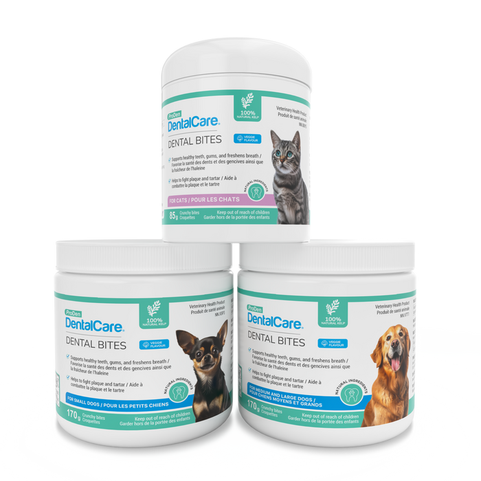 ProDen DentalCare® Dental Bites