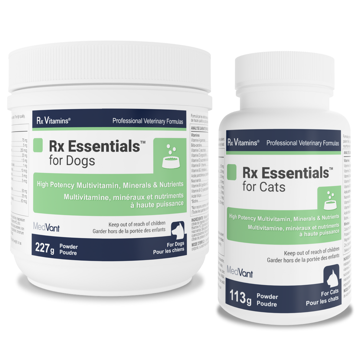 Everyday Essentials