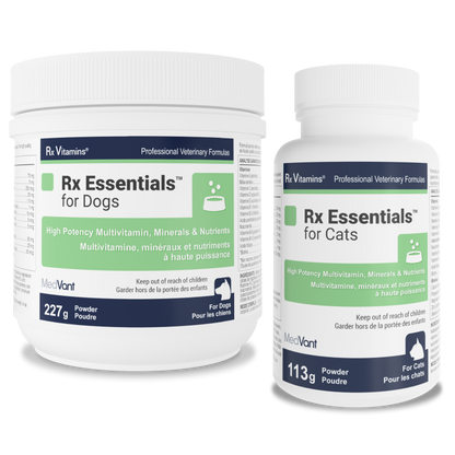 Everyday Essentials
