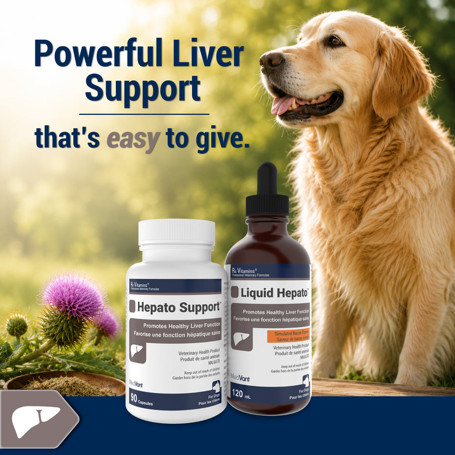 Hepato Support™
