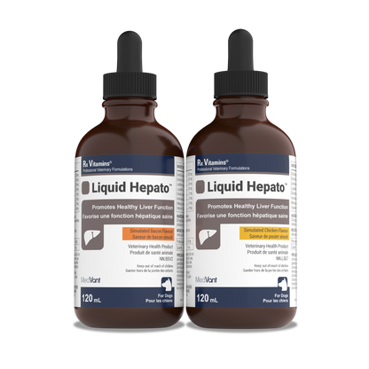 Hepato Support™ Liquid
