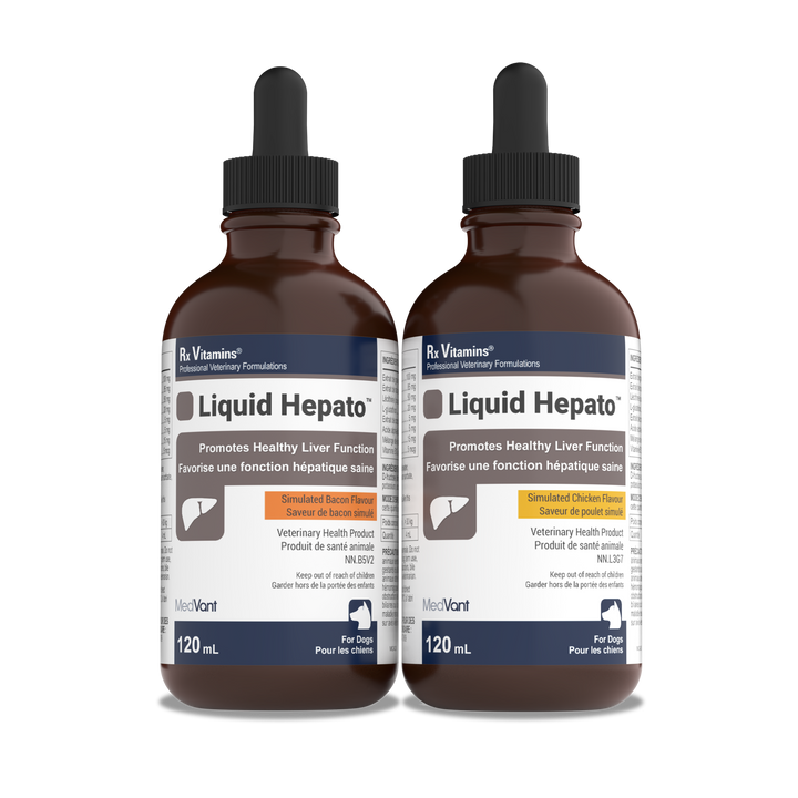 Hepato Support™ Liquid