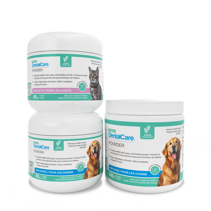 ProDen DentalCare® Powder
