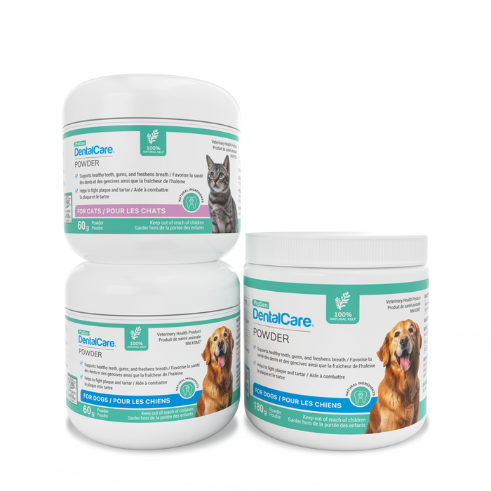 ProDen DentalCare® Powder
