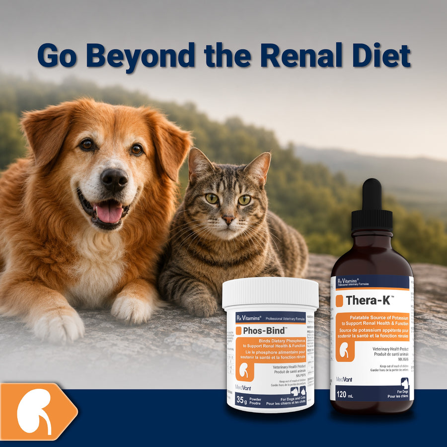 Renal Support