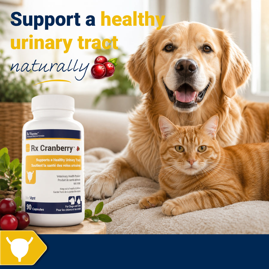 Rx Cranberry™