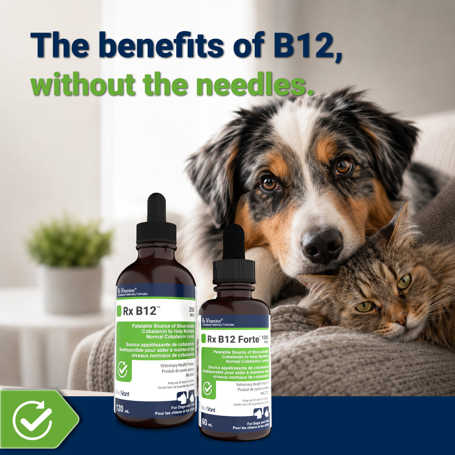 Rx B12™