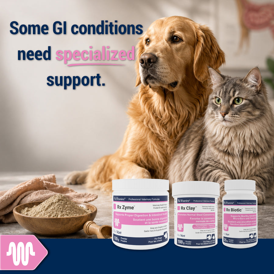 Specialty GI